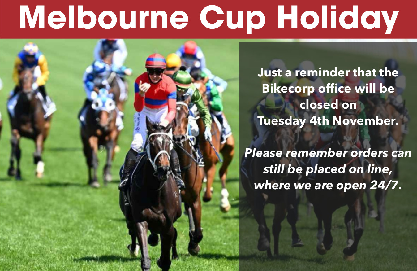 2025 Melbourne Cup